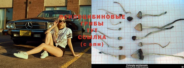 меф Балахна